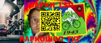 стаф Бердск