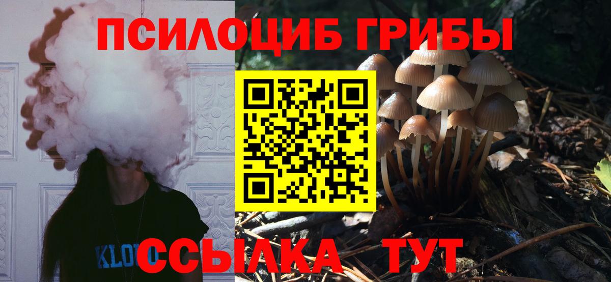 Псилоцибиновые грибы мухоморы  Вход с VPN  Владивосток 