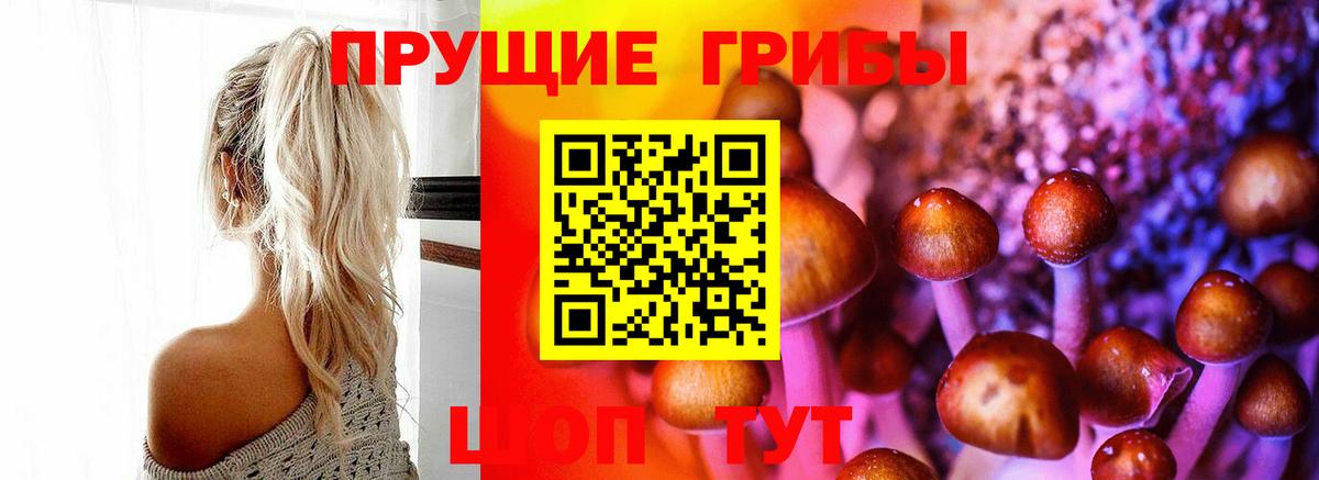 Псилоцибиновые грибы Magic Shrooms Владивосток